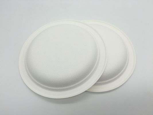 Waterproof 12 Inch Tableware Sugarcane Pulp Plates