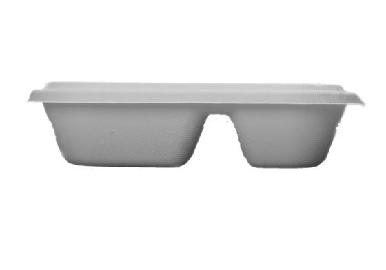 Eco Friendly Biodegradable Salad Boxes