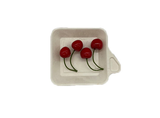 Eco Friendly 8g 115×115mm Cornstarch Trays