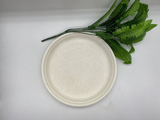 37g Corn Starch Plates