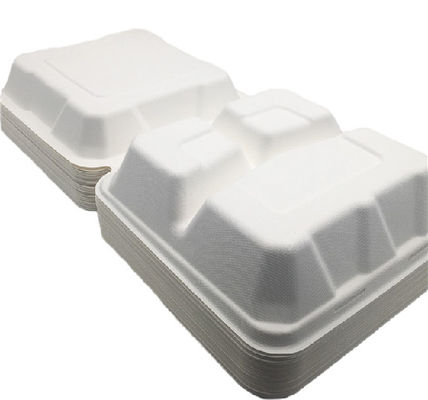 Bento Petroleum Free 8''×8'' Biodegradable Take Out Boxes