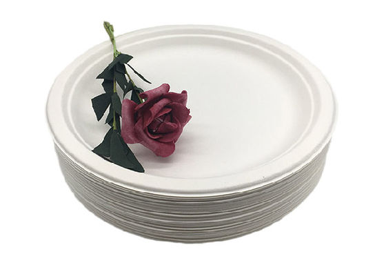 9 Inch Snack 100% Natural Sugarcane Compostable Plates