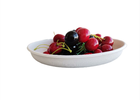 24oz Biodegradable Salad Boxes