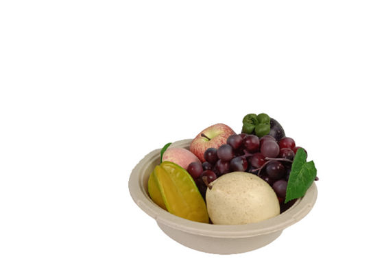 9 Inch Sugarcane Disposable Bowls