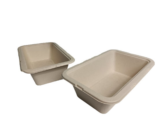 10×6 Inch  1050ml 35g Biodegradable Salad Boxes