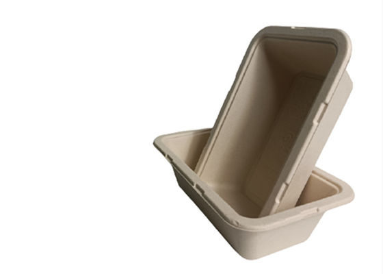 10×6 Inch  1050ml 35g Biodegradable Salad Boxes