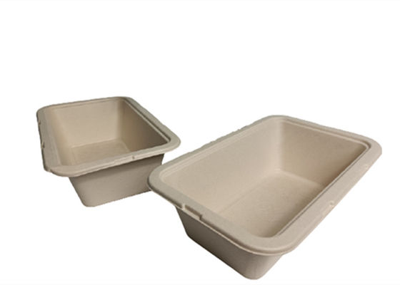 10×6 Inch  1050ml 35g Biodegradable Salad Boxes