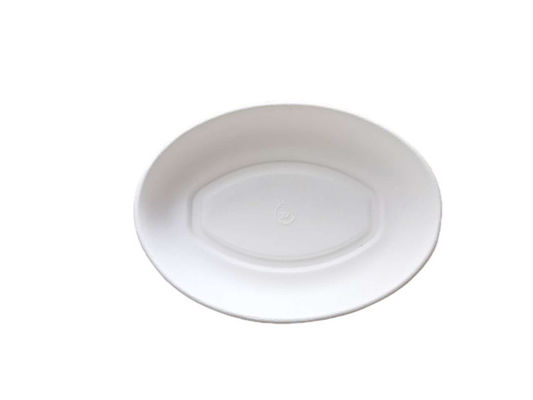 24oz Biodegradable Salad Boxes