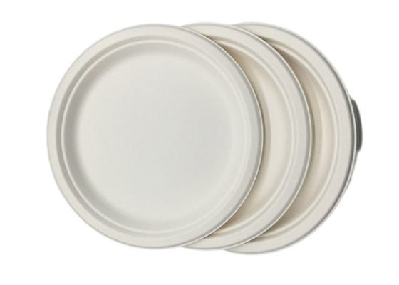 10" 20g Bar Biodegradable Sugarcane Bagasse Plates