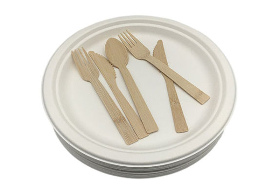 10" 20g Bar Biodegradable Sugarcane Bagasse Plates