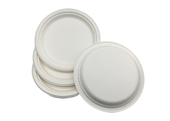 10" 20g Bar Biodegradable Sugarcane Bagasse Plates