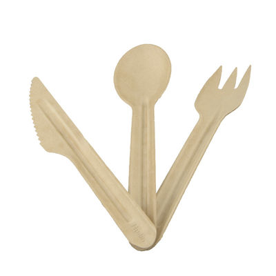 16cm Bagasse Biodegradable Disposable Utensils For Party Factory Wholesale