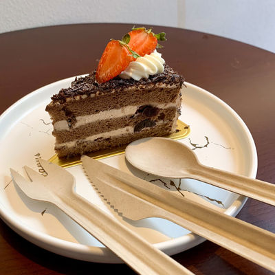 16cm Bagasse Biodegradable Disposable Utensils For Party Factory Wholesale