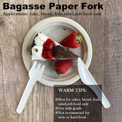 Compostable Disposable Bagasse Paper Party Cutlery Set