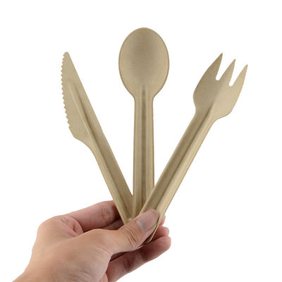 Disposable Biodegradable Sugarcane Bagasse Cutlery