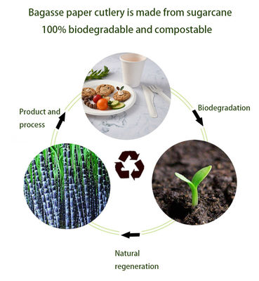 Disposable Biodegradable Sugarcane Bagasse Cutlery