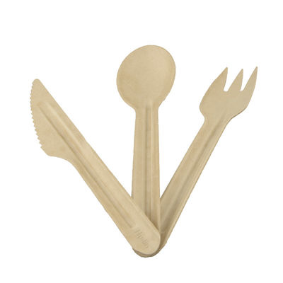 Biodegradable Compostable Bagasse Paper Disposable Cutlery