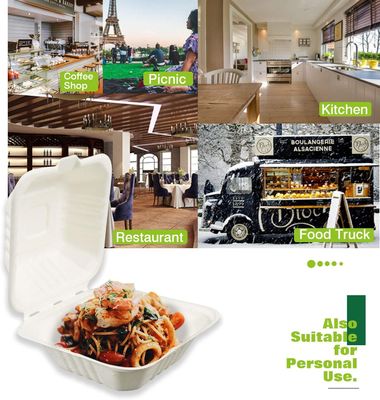 Biodegradable Compostable Hamburger Boxes , 6 Inch White Disposable For Fast Food
