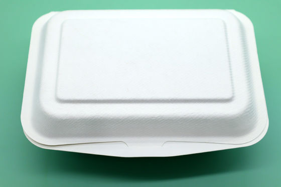 Disposable Paper Bagasse Food Box , 7*5 Inch Square Plate , For Take Away Fast Food
