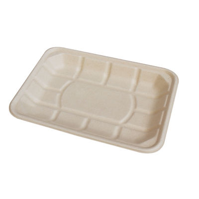 Disposable Paper Bagasse Food Dish , 8*6 Inch Square Plate For Take Away Fast Food