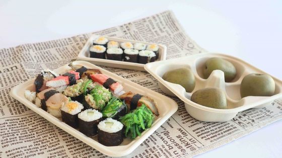 Disposable Paper Bagasse Food Dish , 8*6 Inch Square Plate For Take Away Fast Food