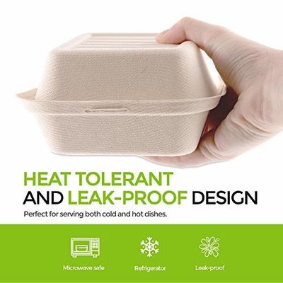 Bagasse Pulp Food Container Box for Fast Food Hamburg and Takeway Food 6 inch White or Nature