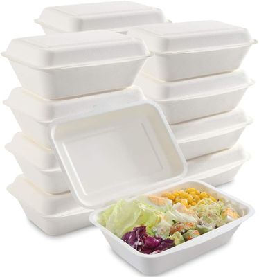 7*5 Inch Compostable Food To Go Containers Disposable Take Away Food Lunch Box