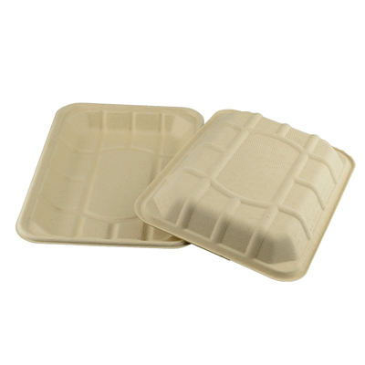 Sugarcane Bagasse Compostable Paper Food Tray 8*6inch  eco-friendly 100% biodegradable