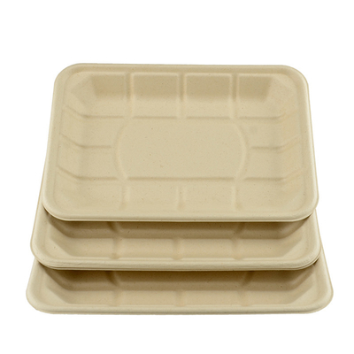 Sugarcane Bagasse Compostable Paper Food Tray 8*6inch  eco-friendly 100% biodegradable