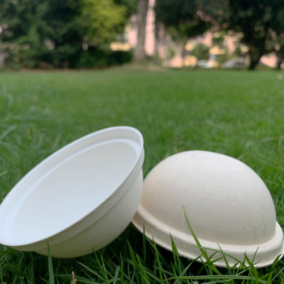 Bagasse Pulp fiber base Dome Lids without plastic For 8oz 12oz 16oz Paper Cups