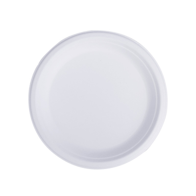 100% Compostable 9 Inches Natural, Biodegradable Food Plate For Food And Vegetables