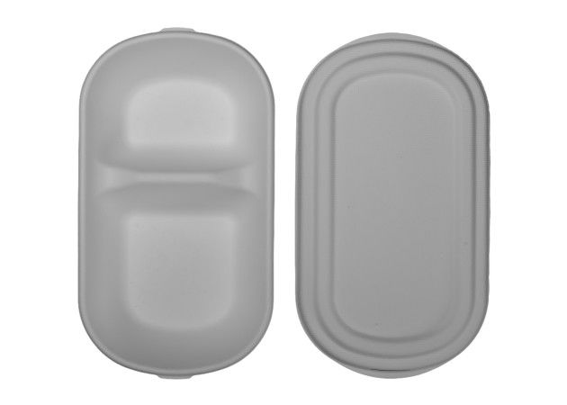 Bagasse Lunch 22.5×12.5×5.5cm Biodegradable Salad Boxes