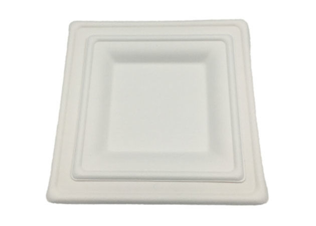 8 Inch Square Biodegradable Sugarcane Bagasse Plates