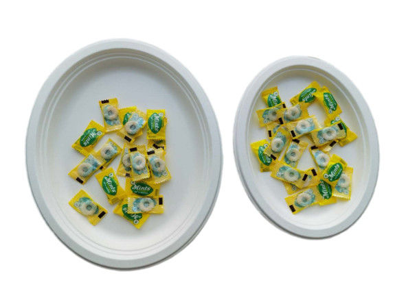 10 / 12 Inch Oval  Restaurant Nature Bagasse Paper Plates