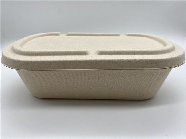 850ML Sugarcane Takeaway Biodegradable Salad Boxes
