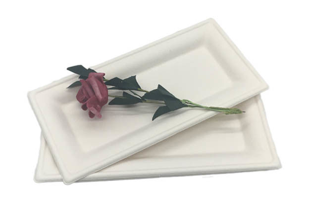 Sugarcane Rectangle Dinner 10"×5” Biodegradable Food Trays