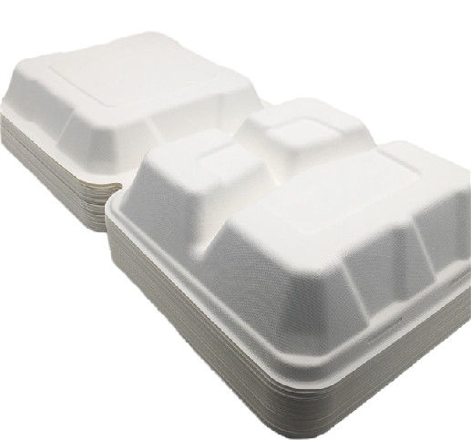 Bento Petroleum Free 8''×8'' Biodegradable Take Out Boxes