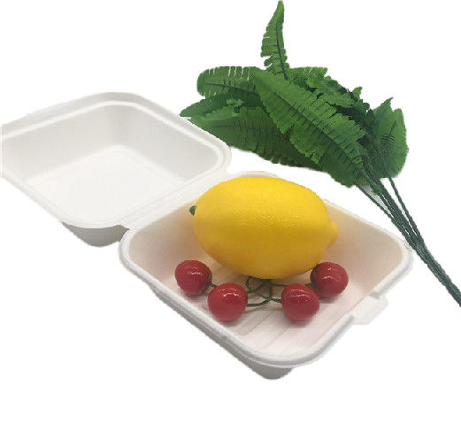 6x6 Inch  Biodegradable Takeout Containers