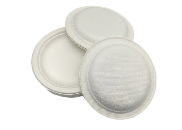 Biodegradable Disposable 6 inch sugarcane bagasse food Round Plates