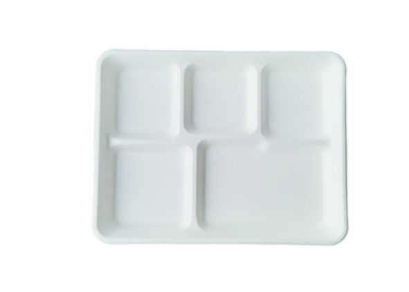 5 Compartment Biodegradable Serving Trays