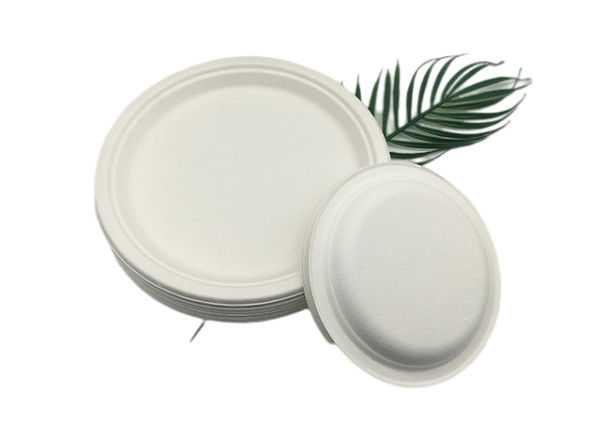 10" 20g Bar Biodegradable Sugarcane Bagasse Plates