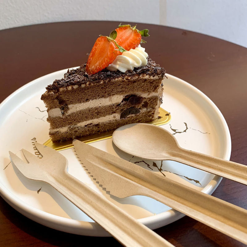 16cm Bagasse Biodegradable Disposable Utensils For Party Factory Wholesale