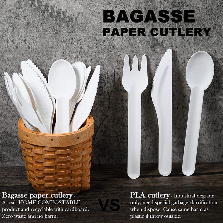 Compostable Disposable Bagasse Paper Party Cutlery Set