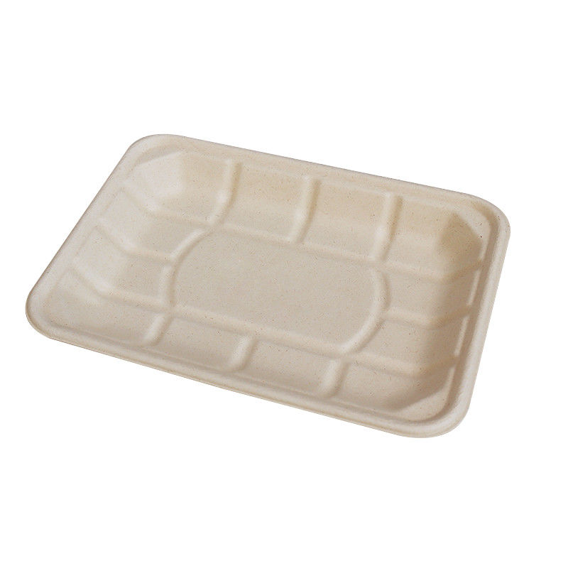 Disposable Paper Bagasse Food Dish , 8*6 Inch Square Plate For Take Away Fast Food